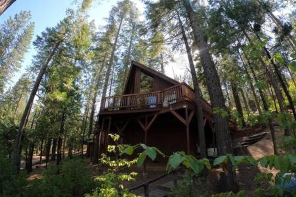 Pinecrest A-Frame Family Fun Near Dodge Ridge Villa Long Barn Luaran gambar